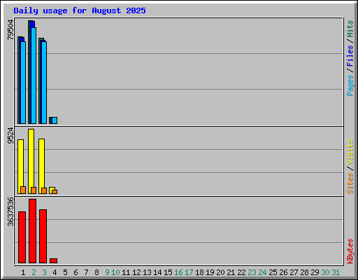 Daily usage for August 2025