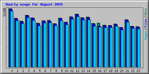 Hourly usage for August 2025